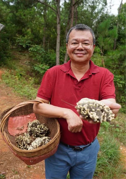 潮汕美食扇贝的做法_潮汕扇贝饼_扇贝潮汕话叫什么