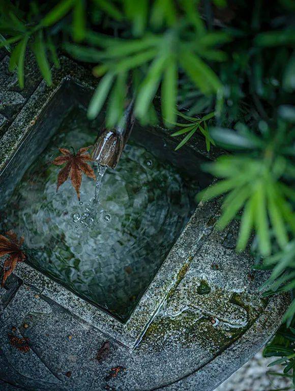 西餐厅台面摆放示意图_西餐厅台面布置_三台西餐厅