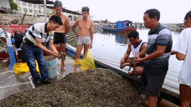 美食潮汕吃想到可以吃什么_美食潮汕_想吃美食可以到潮汕